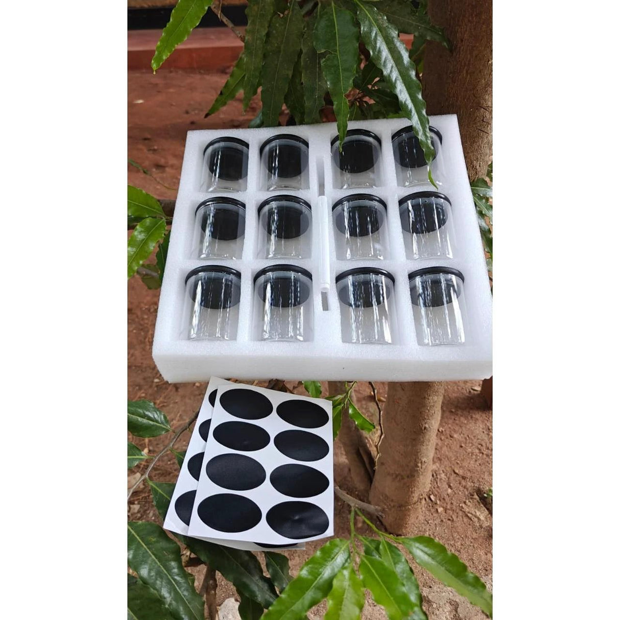 12pcs Glass Spice Jar Set with Black Bamboo Lids 200ml Spice jar Spice Organizers