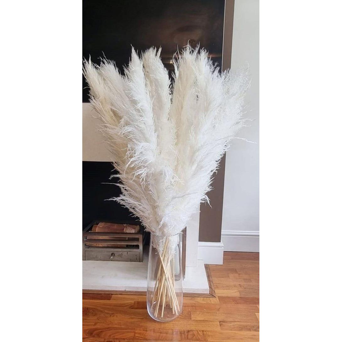 15 Piece Dried Pampas Grass Set 60cm for Elegant Home Styling