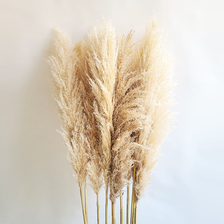 3Pcs Big Fluffy Pampas Grass 100cm Dried Decorative Flowers for Home Decor Brown.