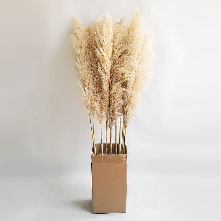 3Pcs Big Fluffy Pampas Grass 100cm Dried Decorative Flowers for Home Decor Brown.