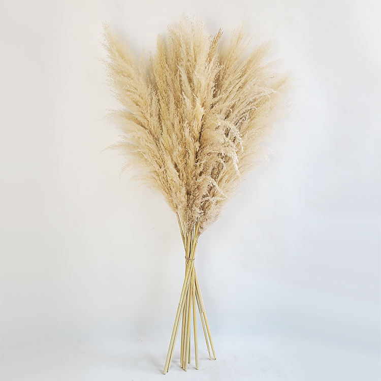 3Pcs Big Fluffy Pampas Grass 100cm Dried Decorative Flowers for Home Decor Brown.
