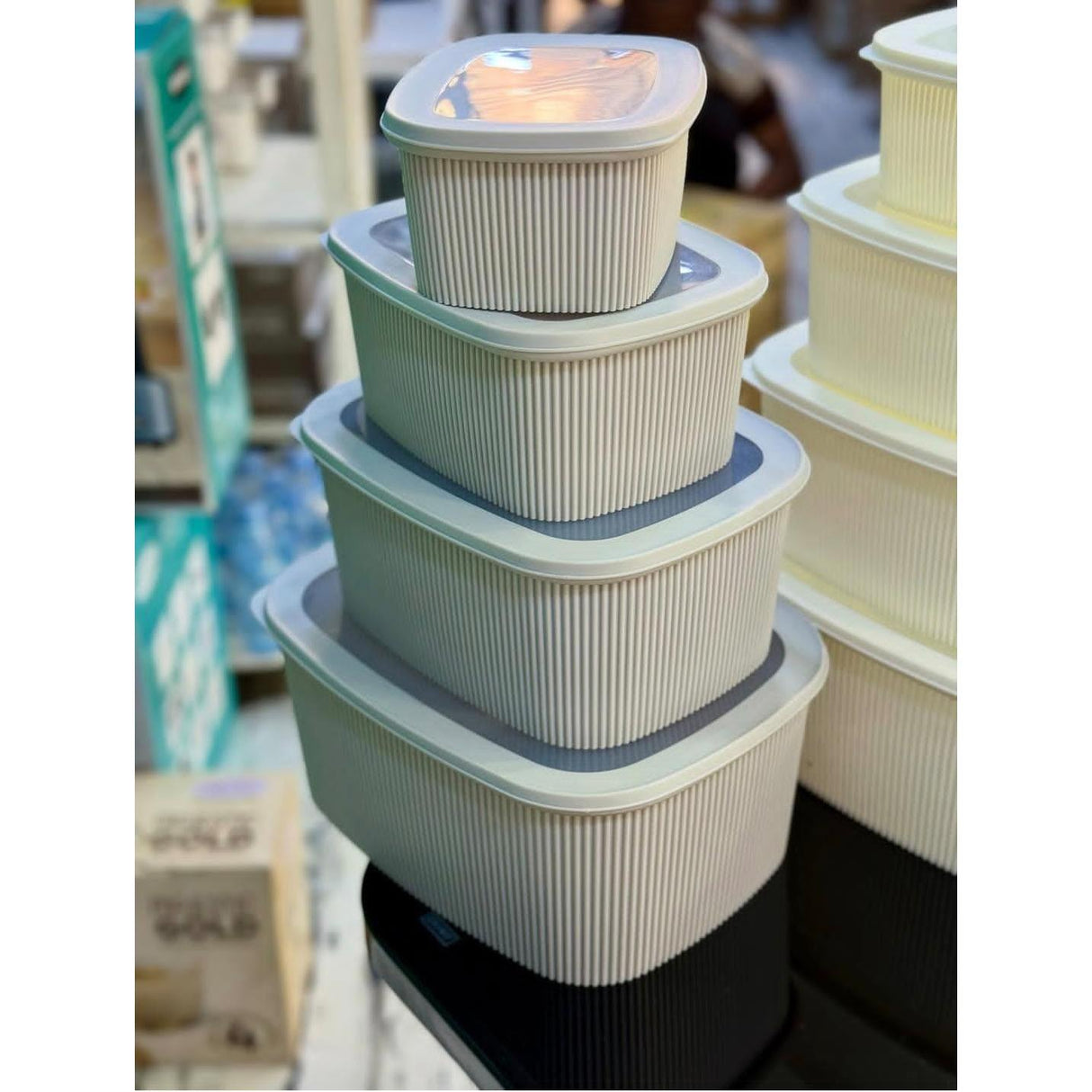 4pcs Multipurpose Storage Containers – Leak Proof and Microwave Safe