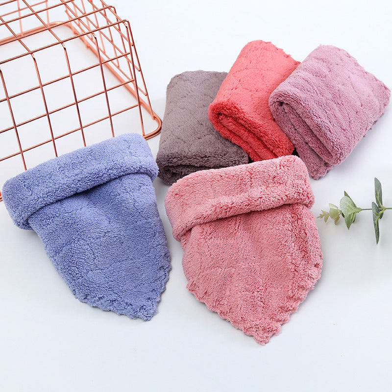 5 Pcs Coral Fleece Dishcloths set Soft & Absorbent kitchen Cleaning Towels (30cmx30cm, Multicolour)