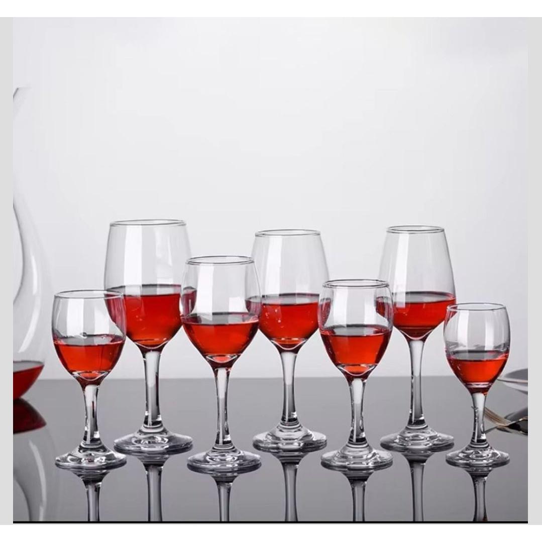 6 Piece Wine Glasses Set | Elegant Stemmed Glasses for Red, White, and Sparkling Wine