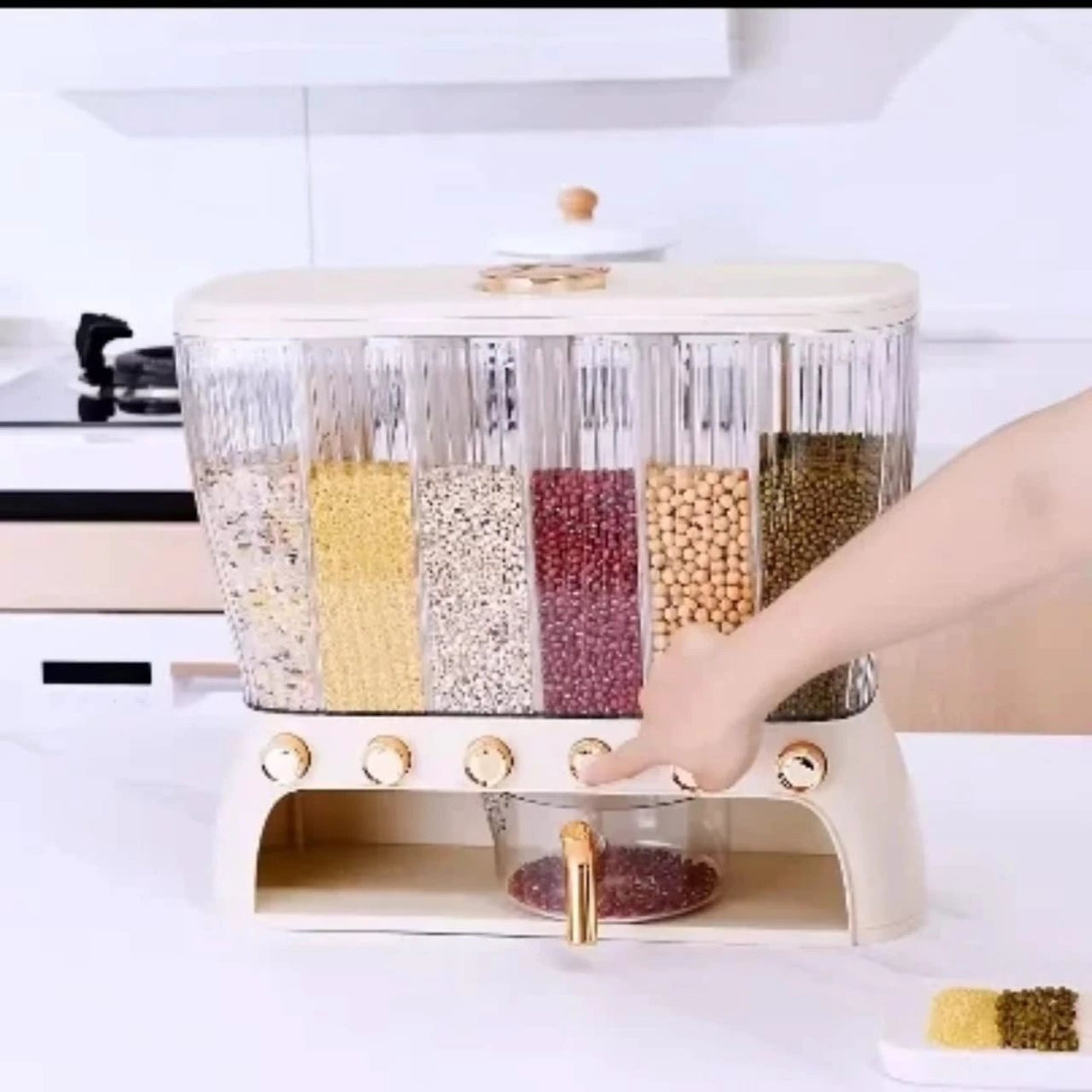 Acrylic Partitioned Dispenser for Rice, Cereal & Grains White & Cream Options Food Storage
