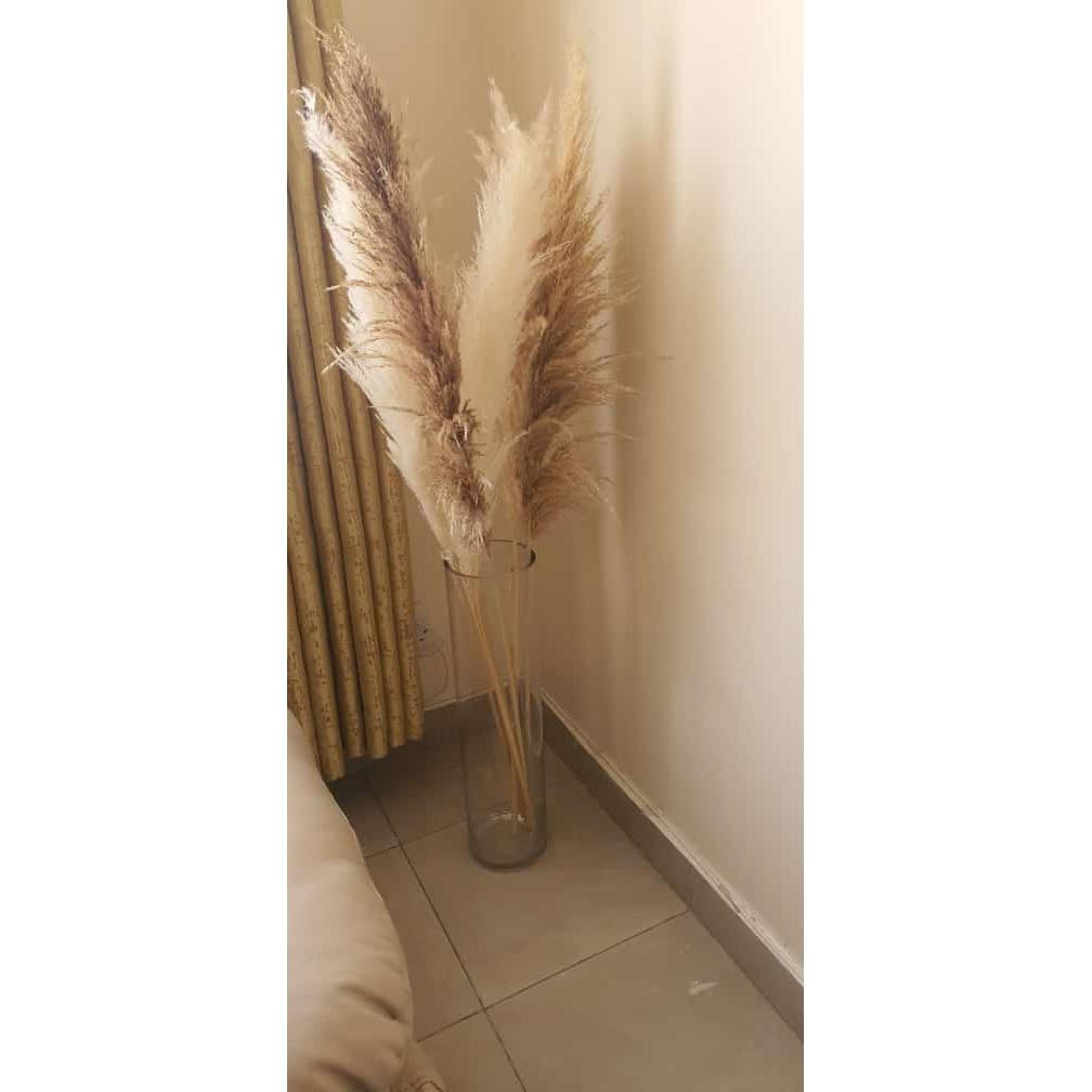 Big Fluffy Pampas Grass | Dried Decorative Flowers 1.4m Long for Home & Event Styling (White, Brown, Grey)