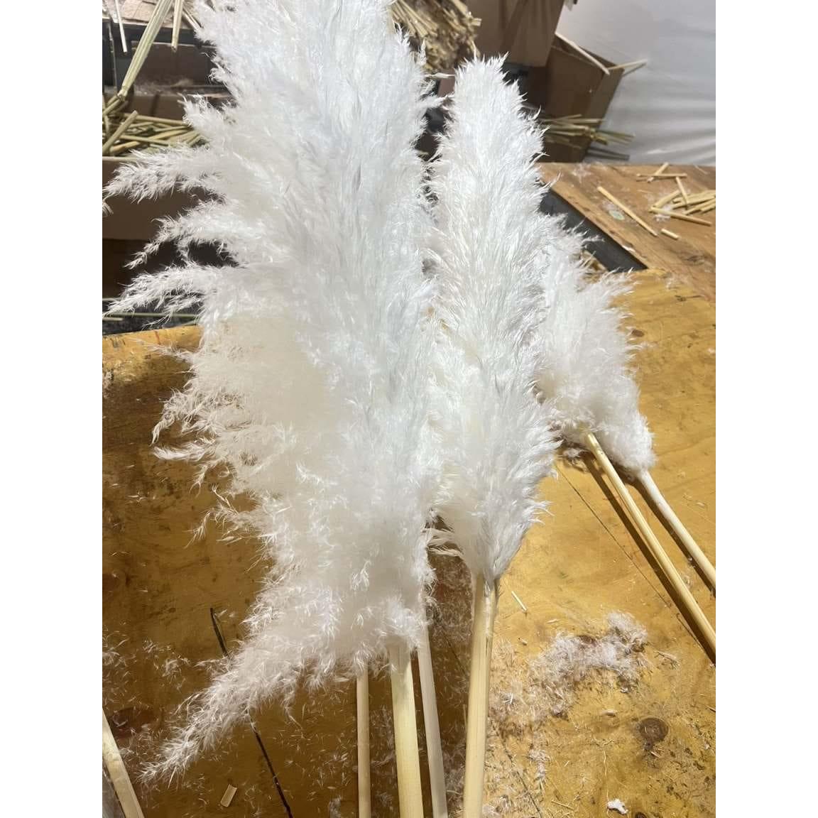 Big Fluffy Pampas Grass | Dried Decorative Flowers 1.4m Long for Home & Event Styling (White, Brown, Grey)