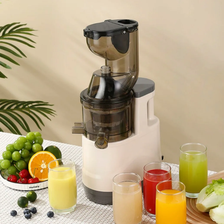 CAMEL Slow Juicer LT-02 with Large Opening and 1L Juice & Pulp Containers