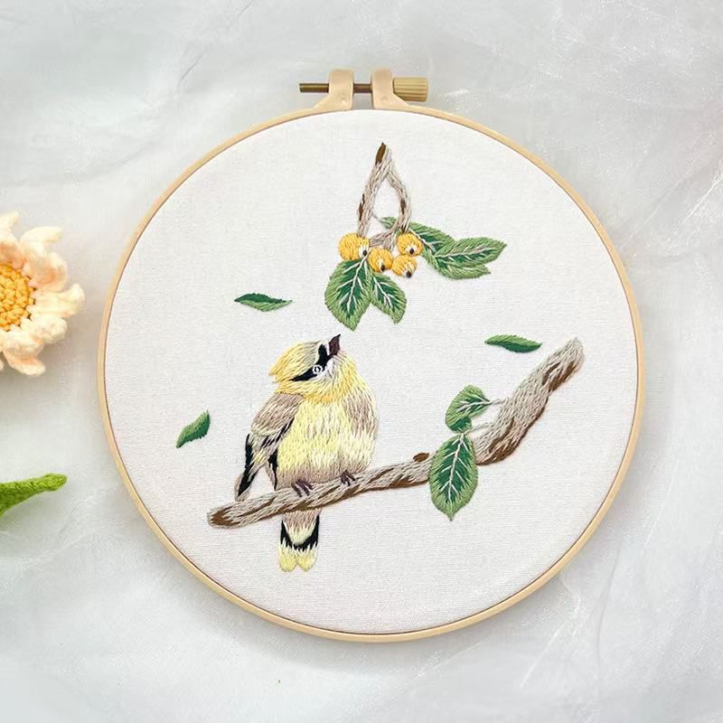 Cross Stitch Kit with Bamboo Embroidery Pavilion Hoop 20cm with User Manual