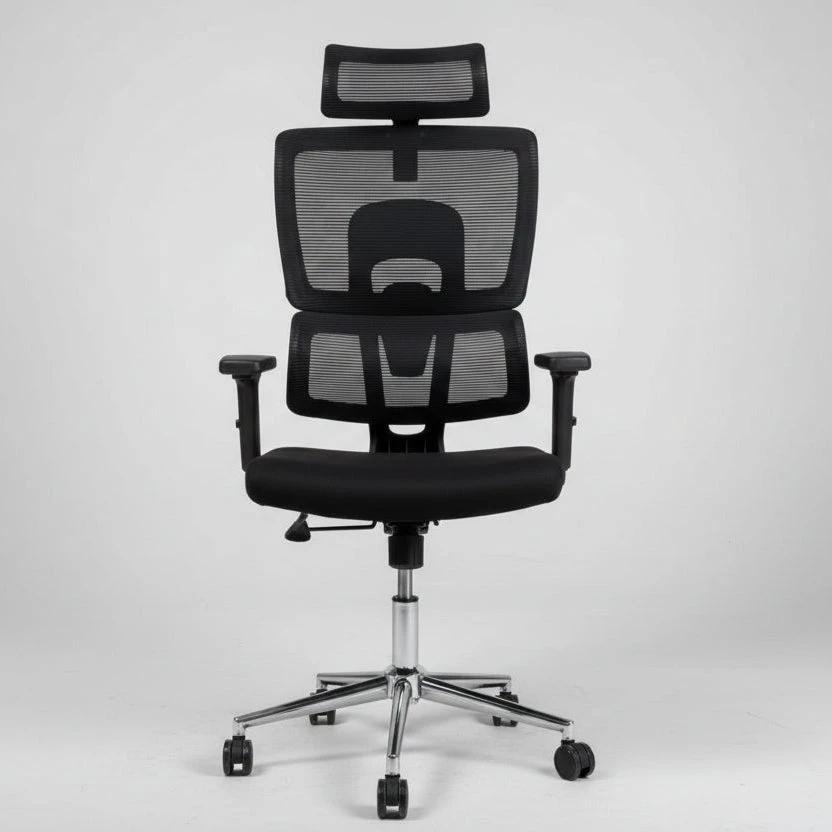 Premium Orthopedic Mesh Office Chair with Double Back Support and Adjustable Headrest Furniture Office Furniture