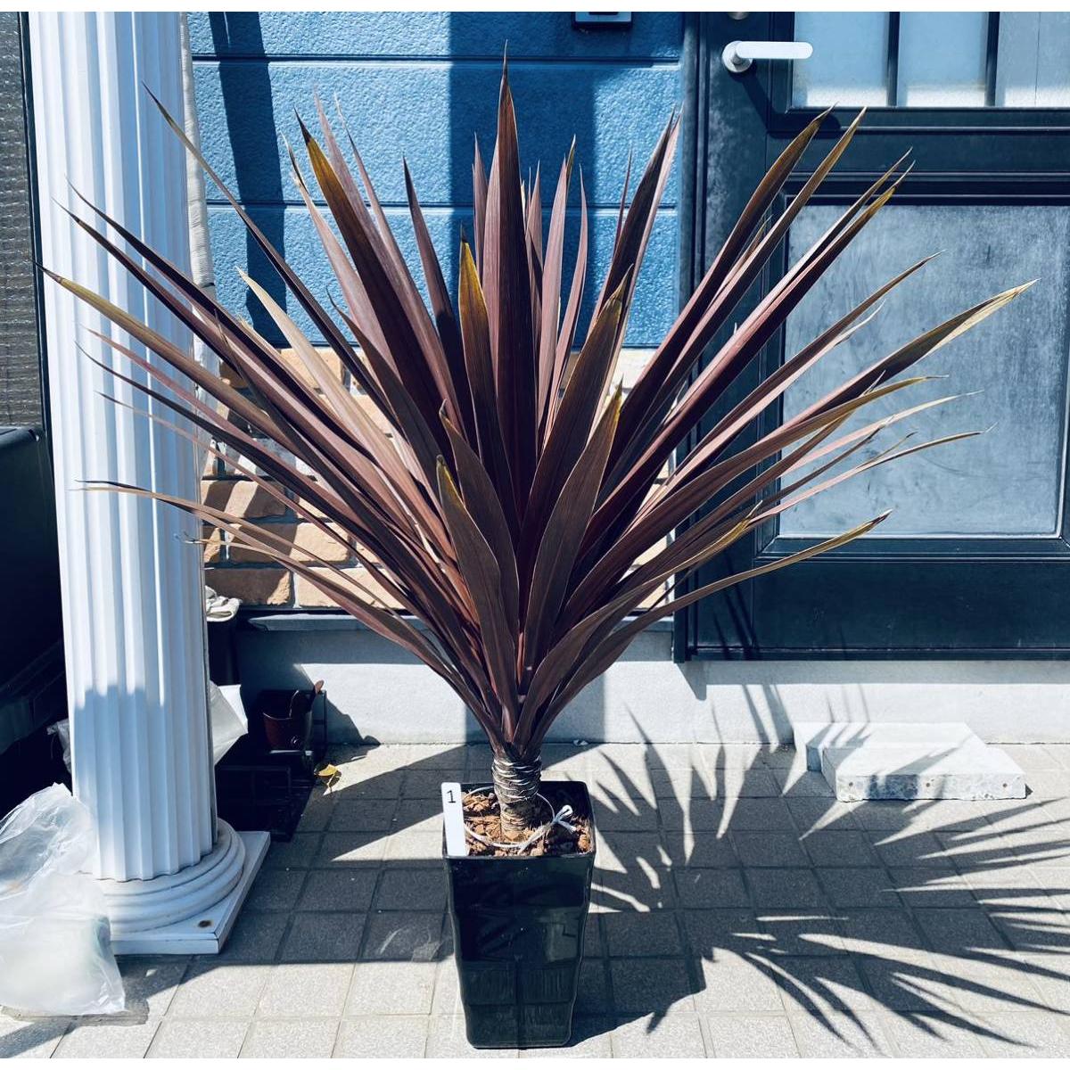 Real Touch Artificial Bonsai Gladiolus Plant 60cm with 56 Leaves