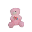 Teddy Bear Soft & Cuddly Plush Toy