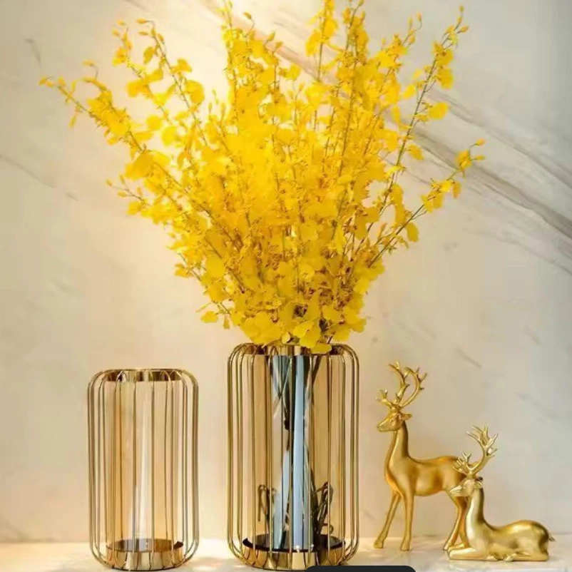 Nordic Gold Bird Cage Glass Vase with Metal Frame Contemporary Home & Garden Vases
