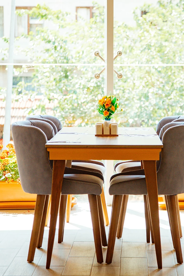 Dining Chairs