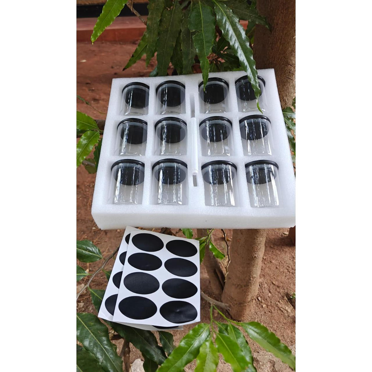 12pcs Glass Spice Jar Set with Black Bamboo Lids 200ml