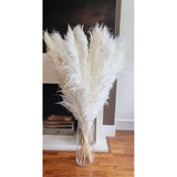 15 Piece Dried Pampas Grass Set 60cm for Elegant Home Styling
