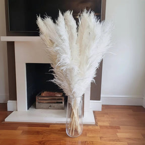 Dried Pampas Grass Set - 15pcs 60cm Decor Dried Flowers