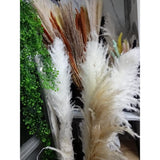1.5m Artificial Dry Pampas Flowers Elegant Decorative Dried Flower Arrangement for Home, Office, and Events