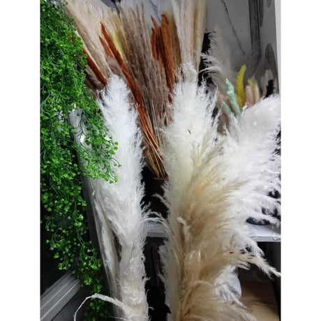 1.5m Artificial Dry Pampas Flowers Elegant Decorative Dried Flower Arrangement for Home, Office, and Events