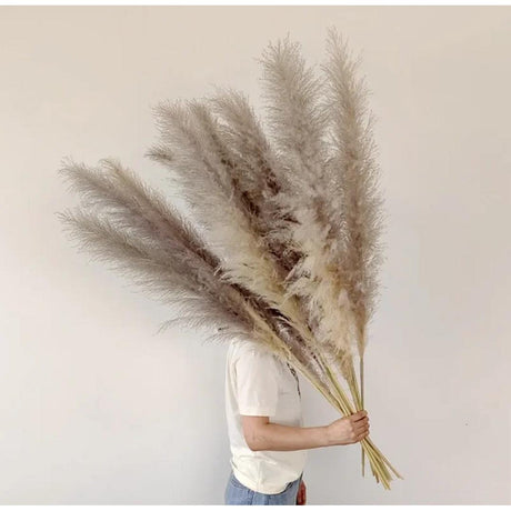 1.5m Artificial Dry Pampas Flowers Elegant Decorative Dried Flower Arrangement for Home, Office, and Events