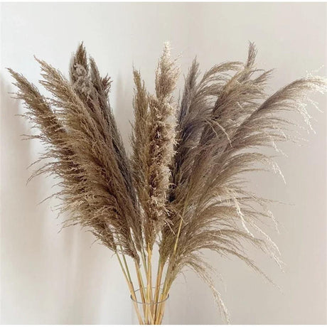 1.5m Artificial Dry Pampas Flowers Elegant Decorative Dried Flower Arrangement for Home, Office, and Events