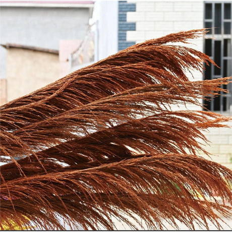 1.5m Artificial Dry Pampas Flowers Elegant Decorative Dried Flower Arrangement for Home, Office, and Events