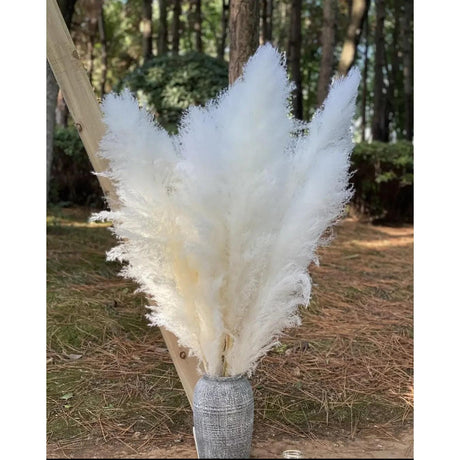1.5m Artificial Dry Pampas Flowers Elegant Decorative Dried Flower Arrangement for Home, Office, and Events