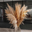 1.5m Artificial Dry Pampas Flowers Elegant Decorative Dried Flower Arrangement for Home, Office, and Events