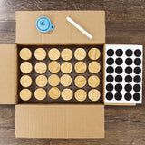 29pcs Glass Spice Jar Set 120ml Jars with Bamboo Lids, Adjustable Shaker Tops & Tools