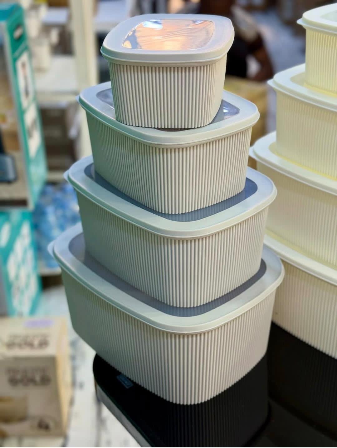 4pcs Multipurpose Storage Containers – Leak Proof and Microwave Safe