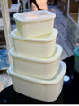 4pcs Multipurpose Storage Containers – Leak Proof and Microwave Safe