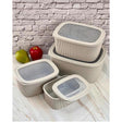4pcs Multipurpose Storage Containers – Leak Proof and Microwave Safe