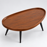 Modern Minimalist Oval Coffee Table Coffee Table Coffee Tables