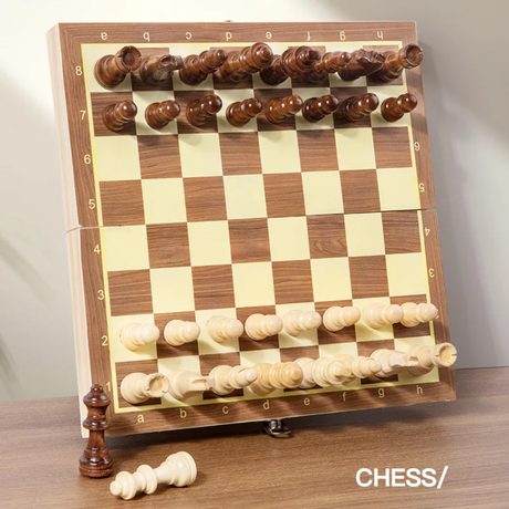 Chess & Checkers 2-in-1 Game Set for Kids and Family Mind Engagement