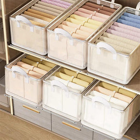 Clear Grid Steel Frame Storage Box Clothes Organizer for Pants Underwear & Socks Closet Systems Closet Organizers