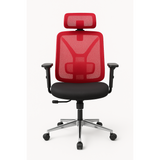 Ergonomic Mesh Office Chair Adjustable Armrests, Headrest & Lumbar Support on Chrome Base