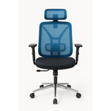 Ergonomic Mesh Office Chair Adjustable Armrests, Headrest & Lumbar Support on Chrome Base