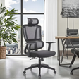 Ergonomic Mesh Office Chair Adjustable Armrests, Headrest & Lumbar Support on Chrome Base