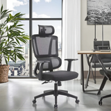 Ergonomic Mesh Office Chair Adjustable Armrests, Headrest & Lumbar Support on Chrome Base
