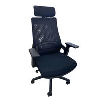 Ergonomic Mesh Office Chair with Adjustable Headrest and Lumbar Support Office chair Office Furniture