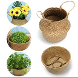 Firm Rattan Handmade Baskets Stylish & Durable Decorative Storage