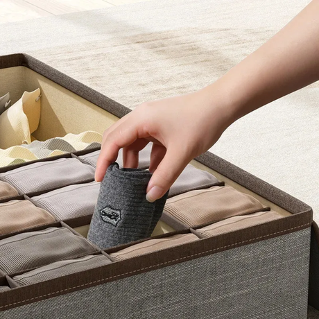 Garment Organizer with Cover Foldable Clothes Storage Box (32x32x11cm)