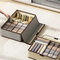 Garment Organizer with Cover Foldable Clothes Storage Box (32x32x11cm) Closet Organizers