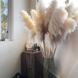 Large Pampas Grass | 1.2m Long Fluffy Natural Dried Pampas Grass for Home and Wedding Decor | Gray