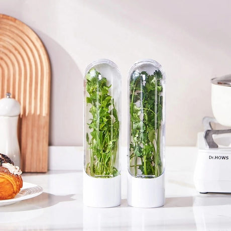 High Quality Fresh Herbs Storage Pod / Herb Saver Keeps Herbs Fresh for Longer.