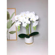 Luxury Real Touch Orchid Plant with Ceramic Pot & White Stones Elegant Faux Floral Decor- Furaha Finds Kenya