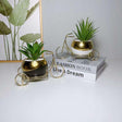 Furaha Finds Vintage Ceramic Planter with Spring Garden Flower Elegant indoor & outdoor decor with gold bike stand, perfect for succulents,herbs and floral arrangements.
