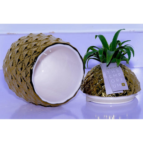 Pineapple Ceramic Cannister with Green Leaf 16x17x12cm, Decorative Storage Jar- Furaha Finds Kenya