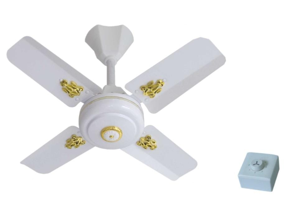 Windsor 24 Inch Ceiling Fan Sleek Efficient and Durable