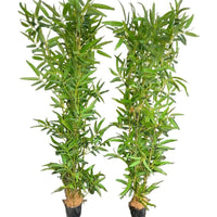 High Quality Bamboo Potted Artificial House Tree Indoor Décor House pot Artificial Trees
